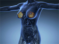 Medicinal Research Reviews on Mammary Gland