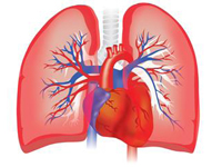 Free scholarly resources on Pulmonary Hypertension